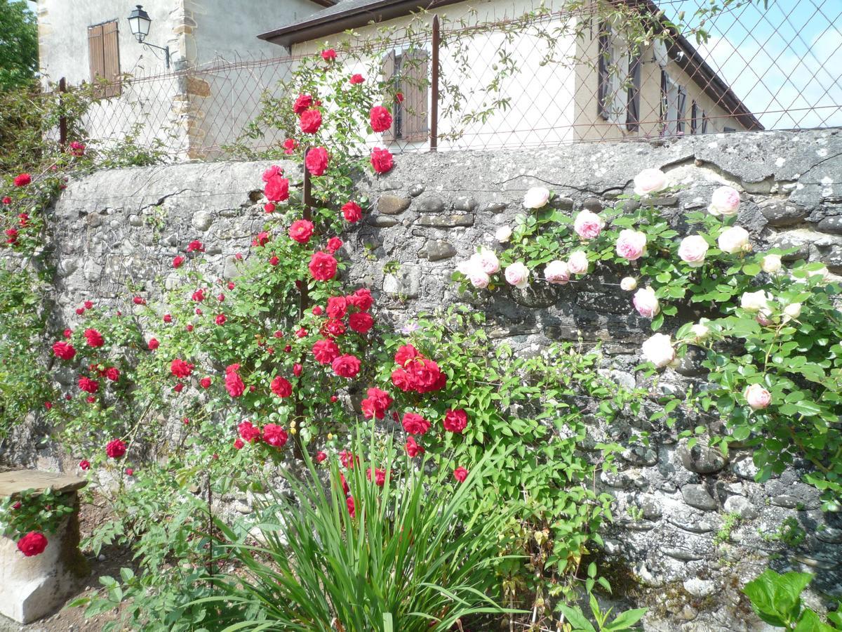 Bearn Bed & Breakfast Pau Exteriör bild